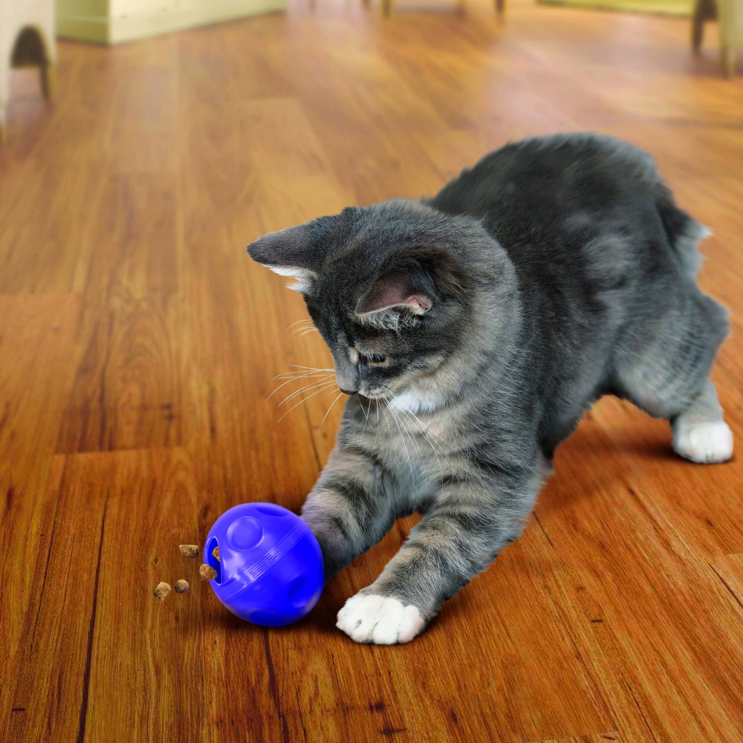 KONG (CAT): Treat Dispensing Ball (NEW)