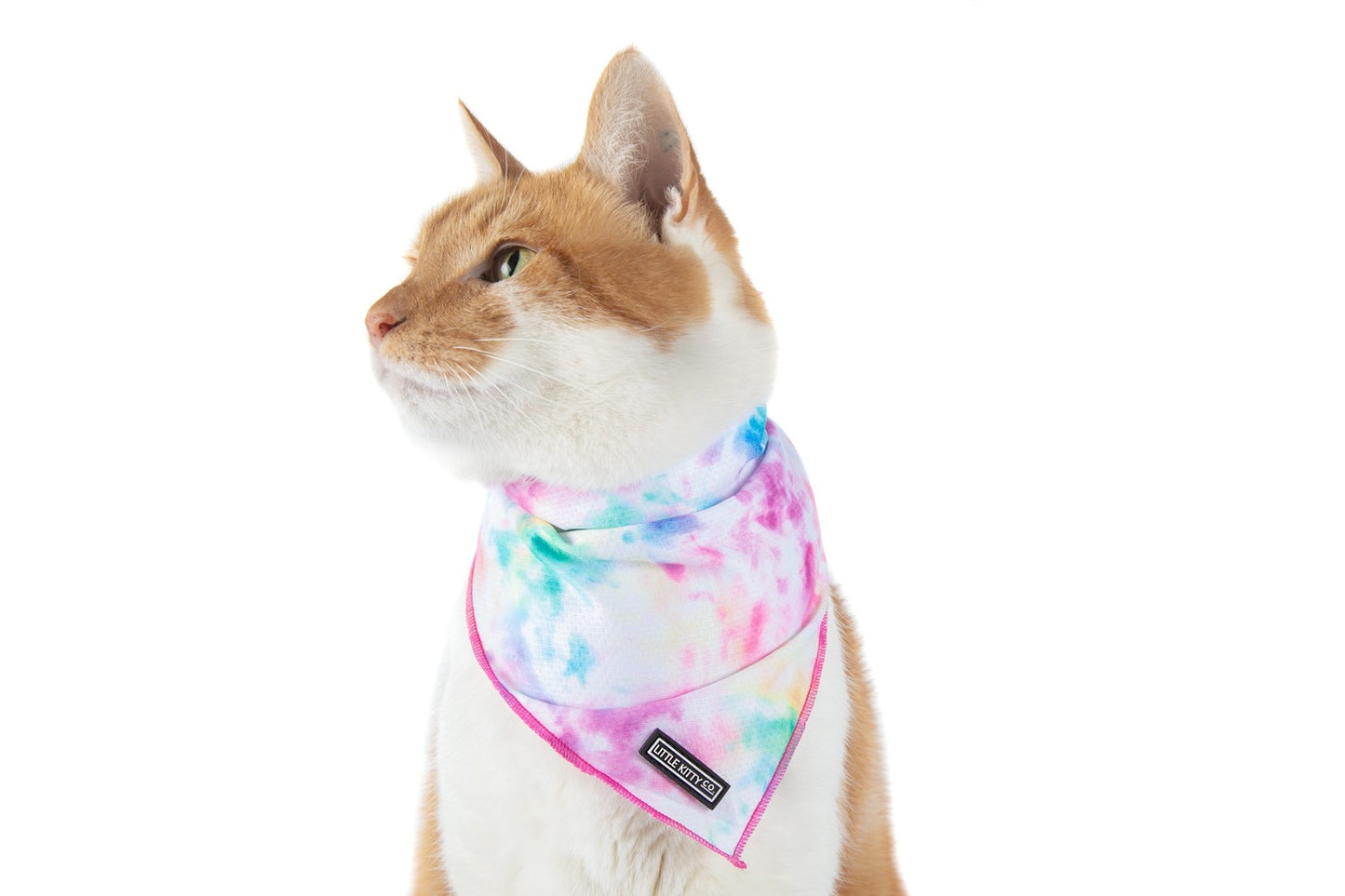 CAT BANDANA: Cotton Candy {FINAL SALE}
