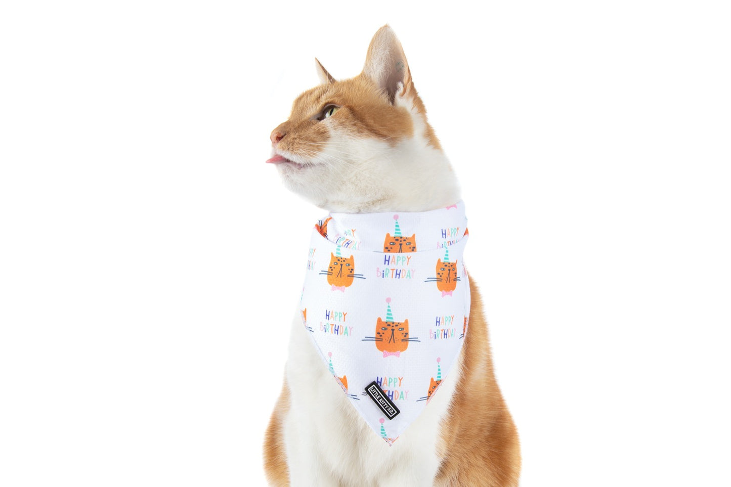 CAT BANDANA: Happy Birthday {FINAL SALE}