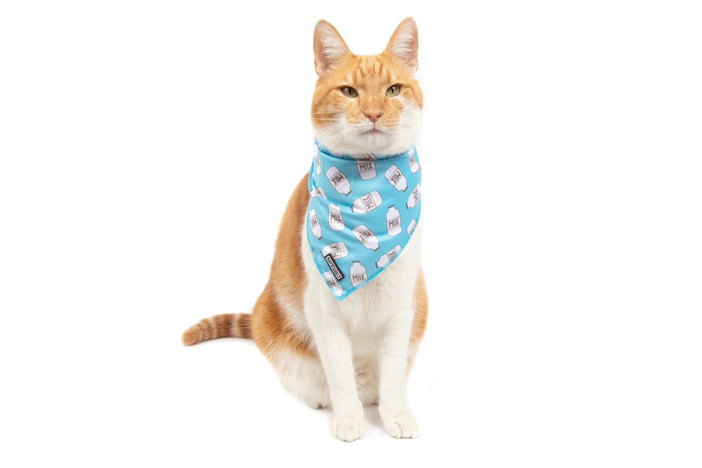 Cat Cooling Bandana Milk