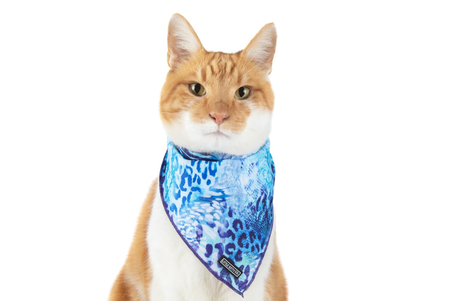 CAT BANDANA: Snakeskin {FINAL SALE}