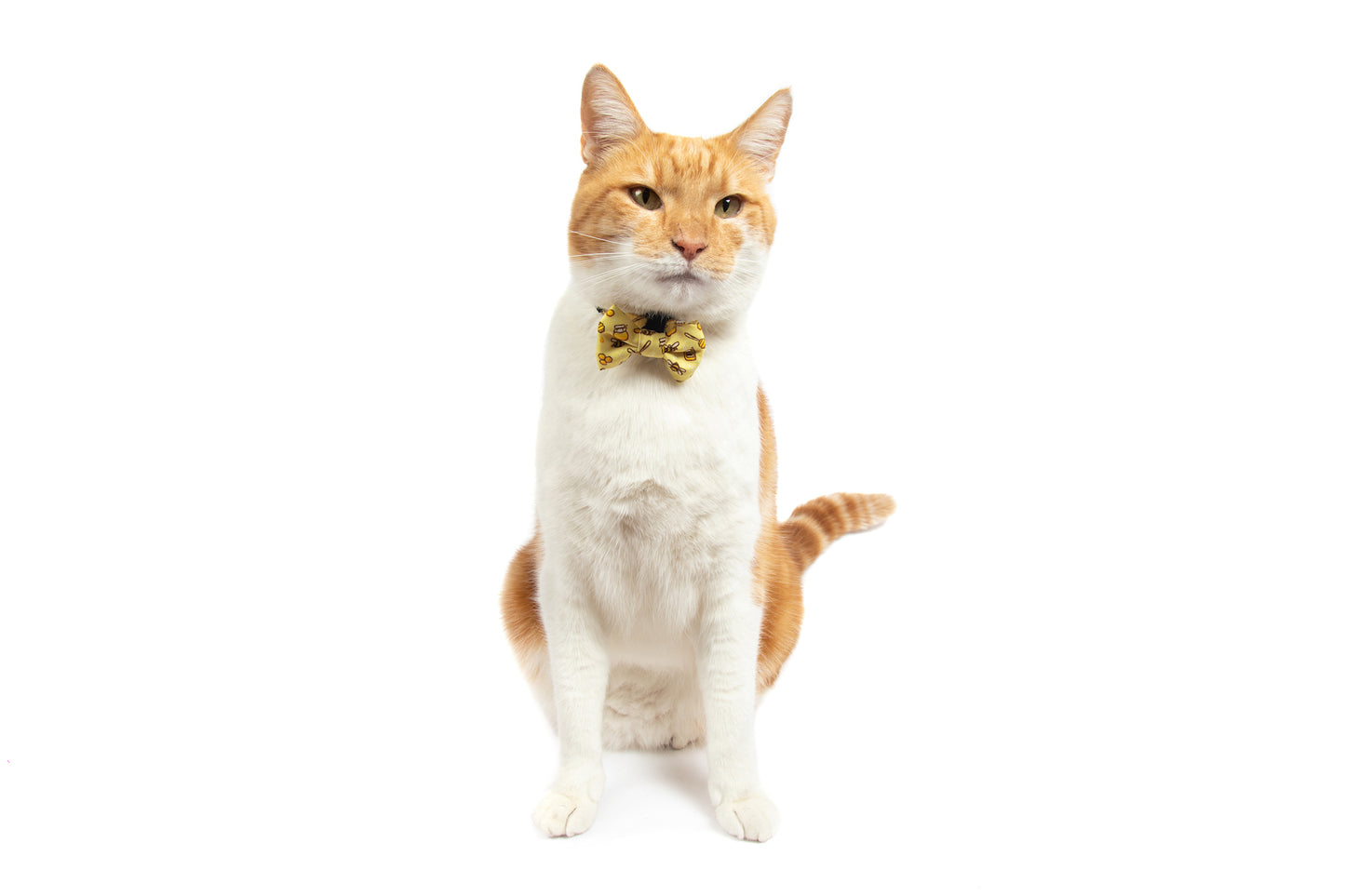 CAT COLLAR & BOW TIE: Bee-Hiving