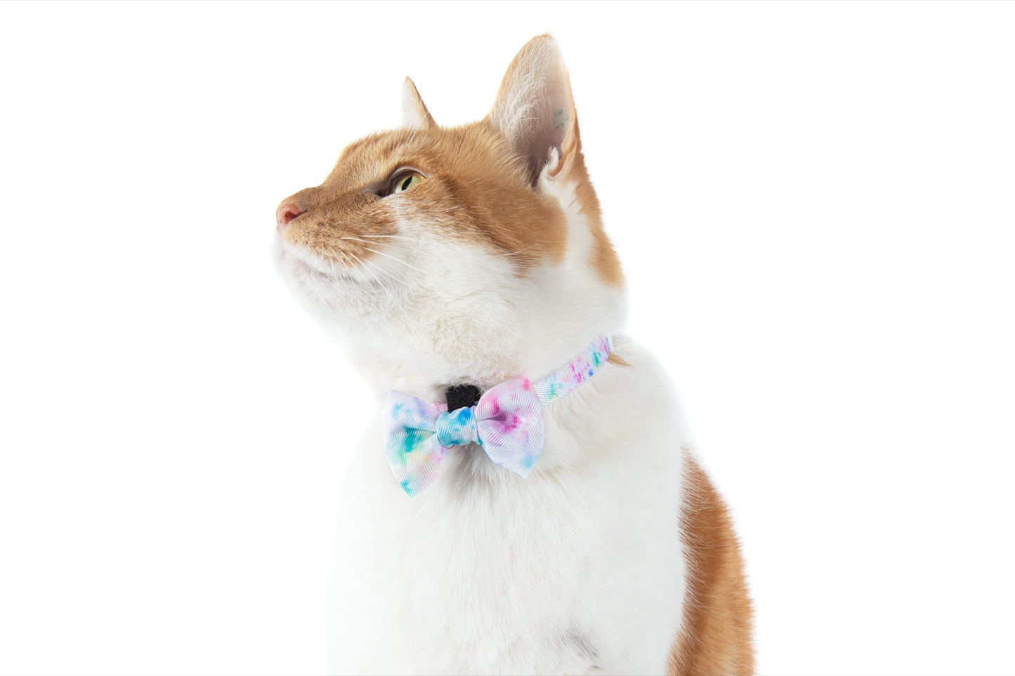 CAT COLLAR & BOW TIE: Cotton Candy {FINAL SALE}