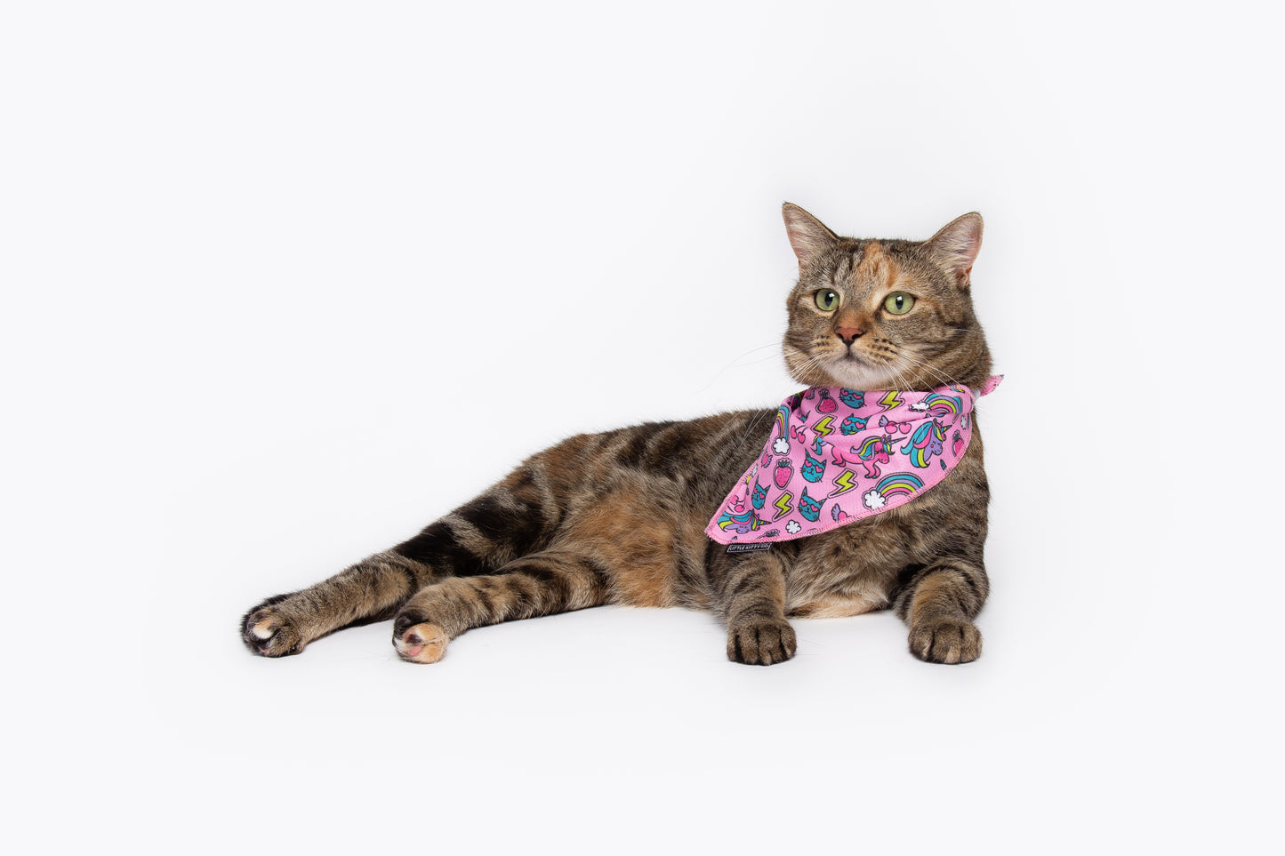Cat Cooling Bandana Meow-gical Unicorns and Rainbows