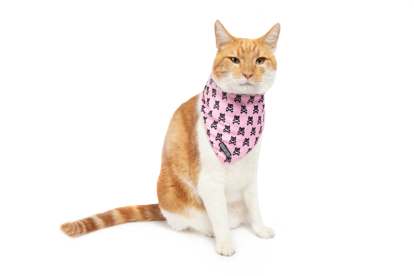 CAT BANDANA: Prettiest of them All {FINAL SALE}