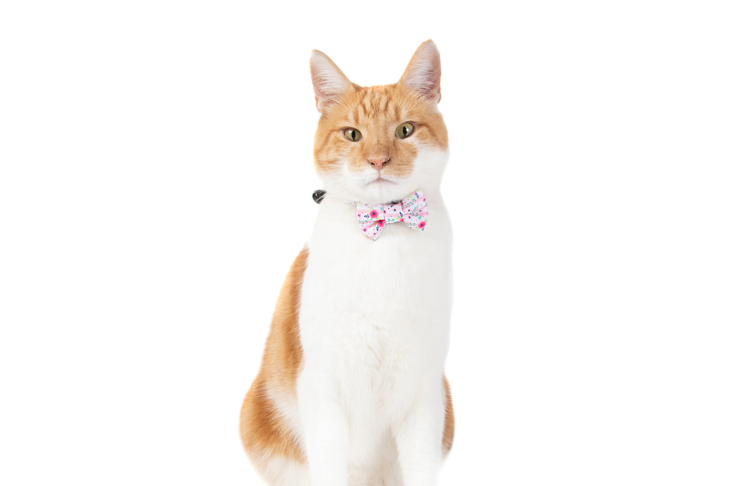 Cat Collar and Bow Tie Fancy FloralsCat Collar and Bow Tie Fancy Florals