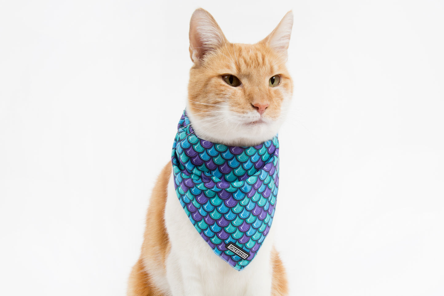 Little Kitty Co. Cooling Bandana Scaled Back