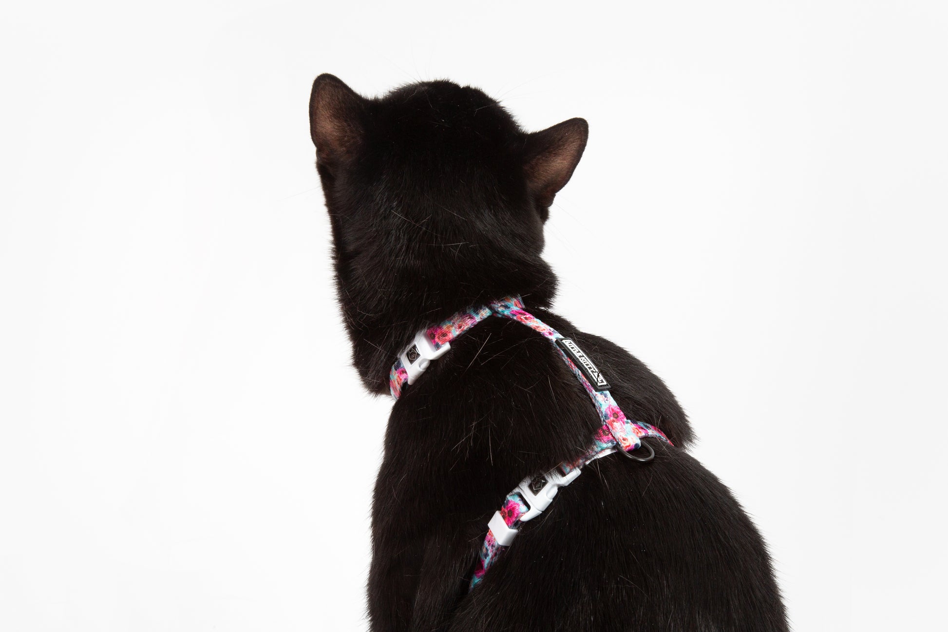 Little Kitty Co. Cat Strap Harness That Floral Feeling