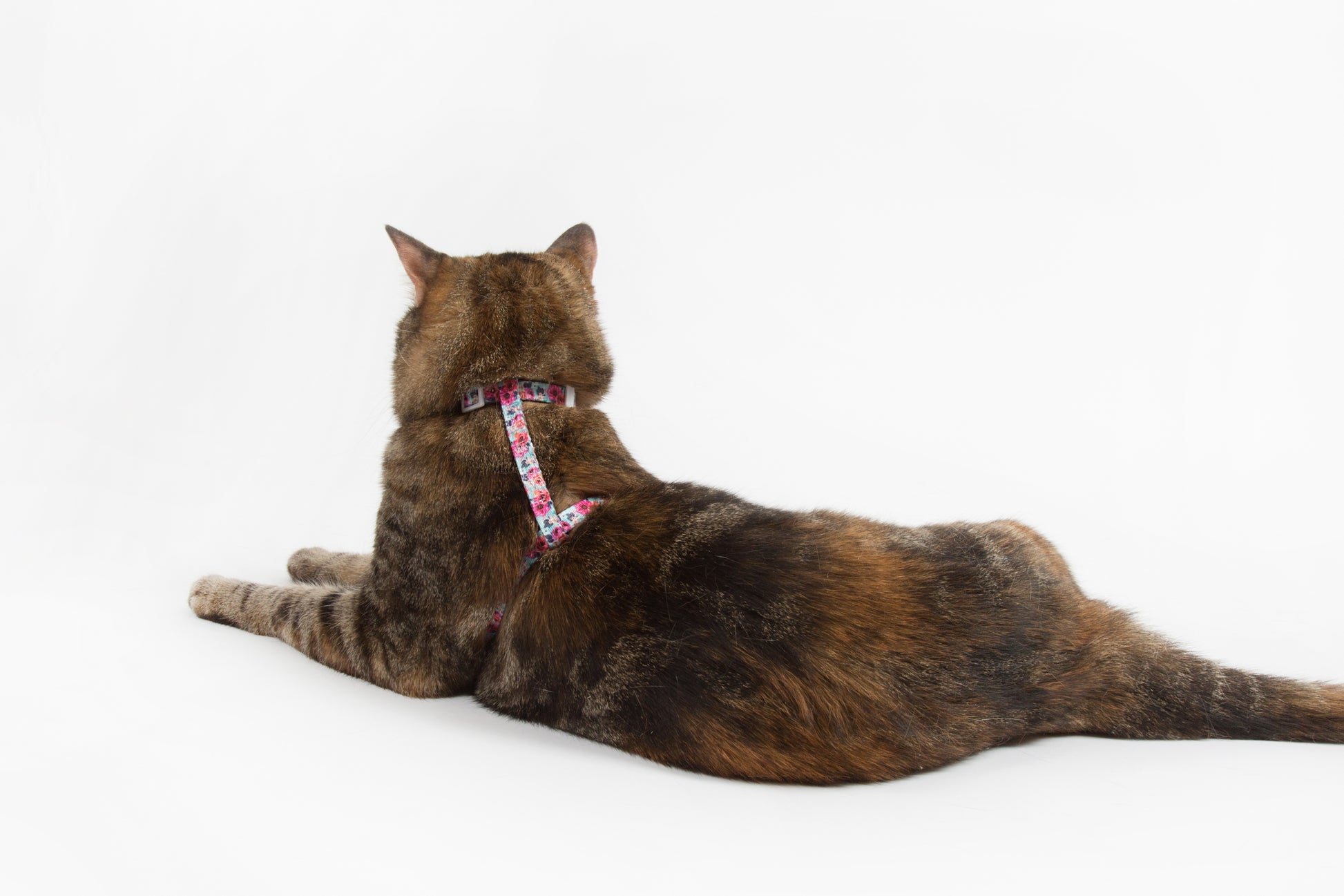 Little Kitty Co. Cat Strap Harness That Floral Feeling
