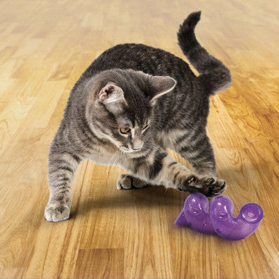 KONG (CAT): Bat-A-Bout Spiral Cat Toy