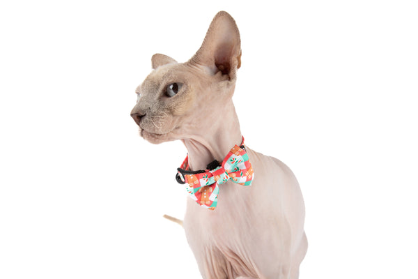 CAT COLLAR & BOW TIE: Christmas Gingerbread (NEW!)