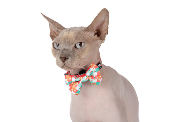 CAT COLLAR & BOW TIE: Christmas Gingerbread (NEW!)