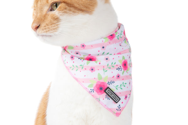 Cat Cooling Bandana Fancy Florals