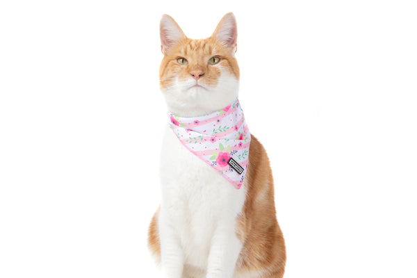 Cat Cooling Bandana Fancy Florals