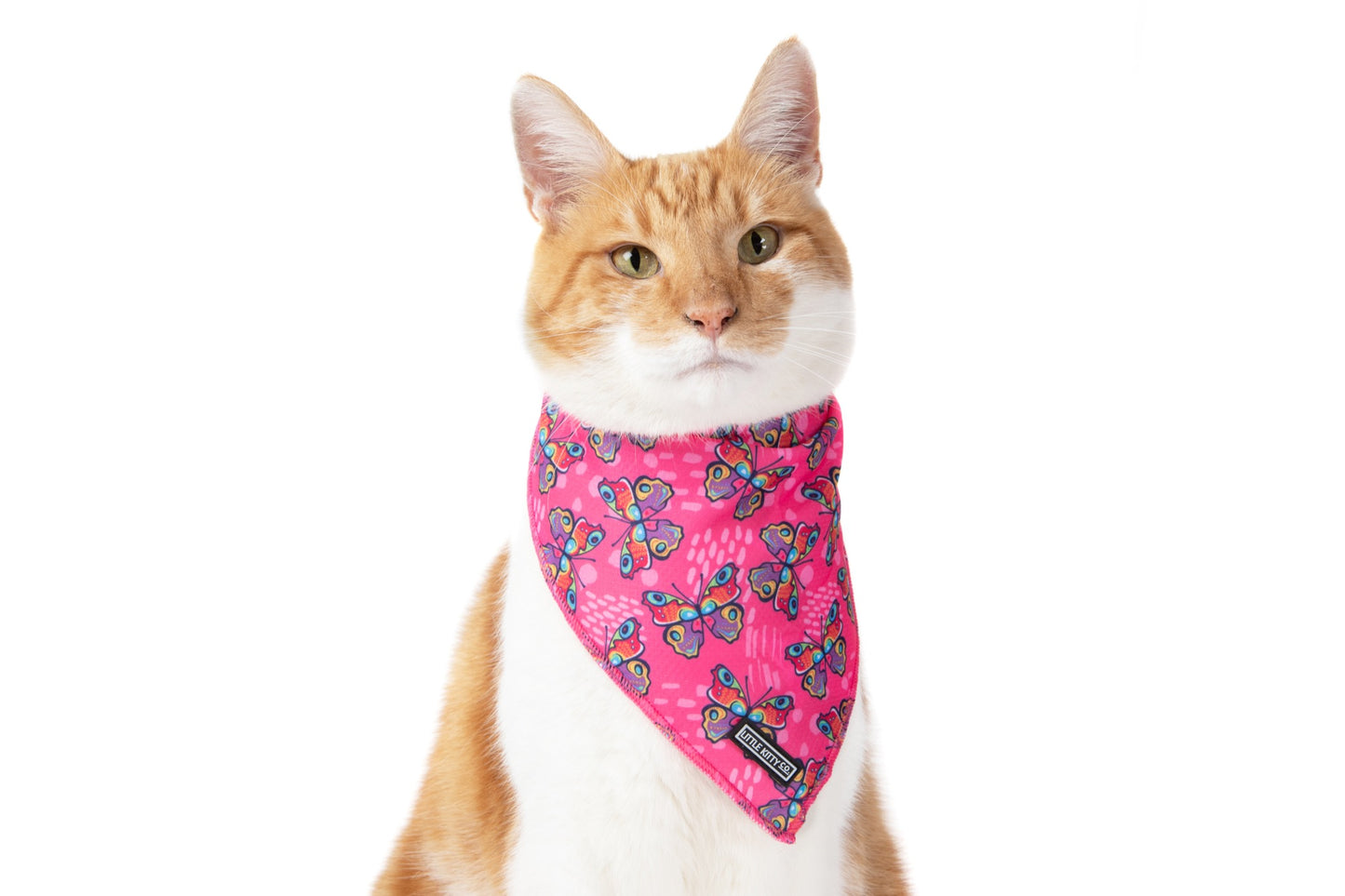 Cat Cooling Bandana Flutterly Fab