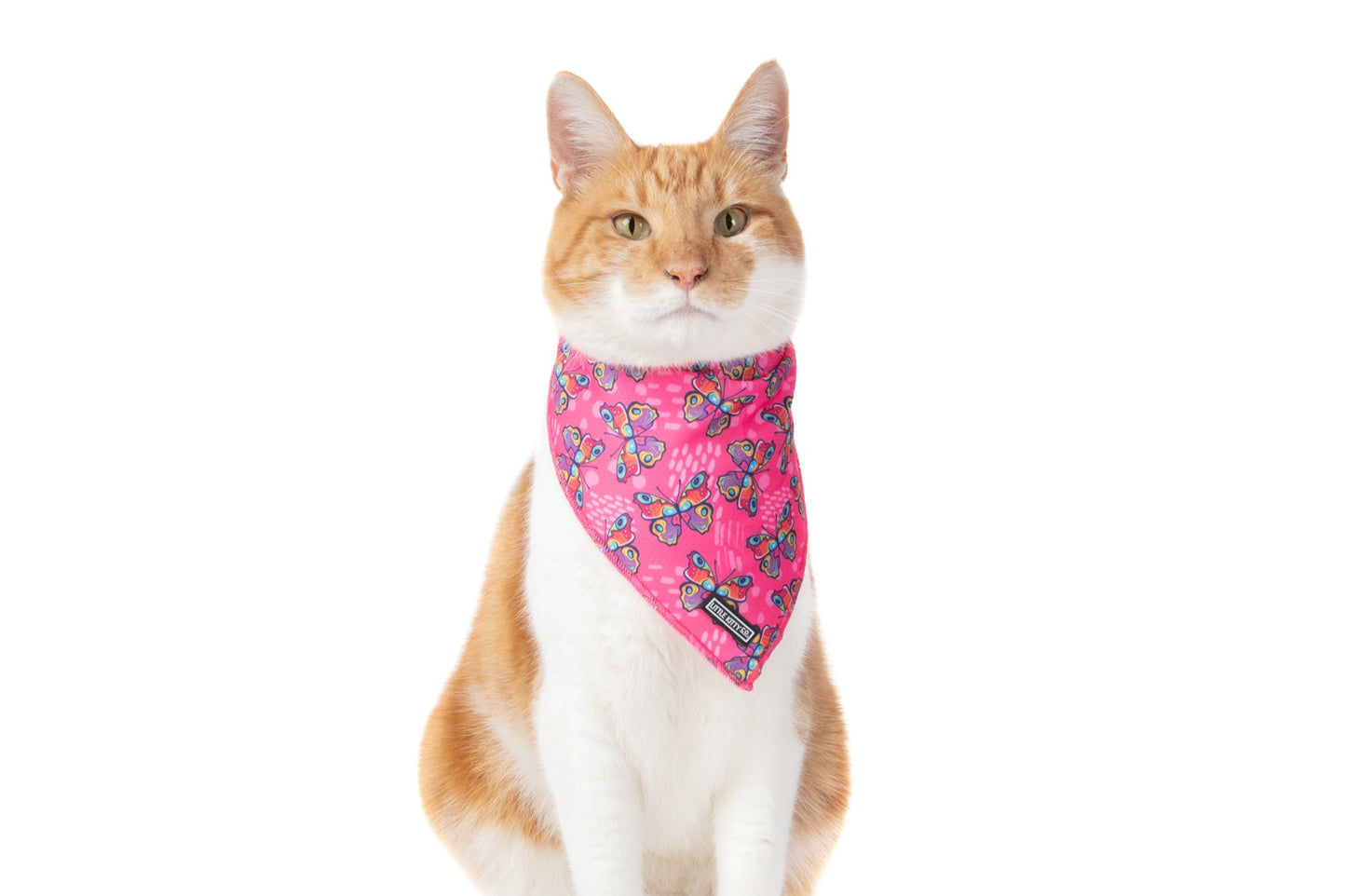 Cat Cooling Bandana Flutterly Fab