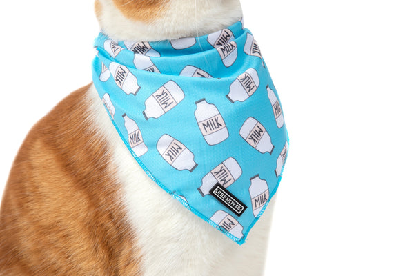 Cat Cooling Bandana Milk