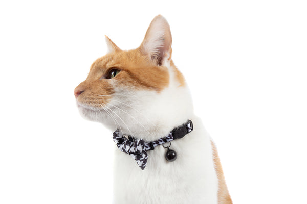 Cat Collar and Bow Tie Catstooth