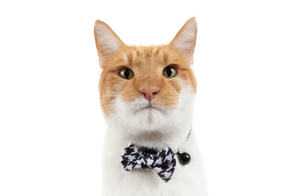 Cat Collar and Bow Tie Catstooth