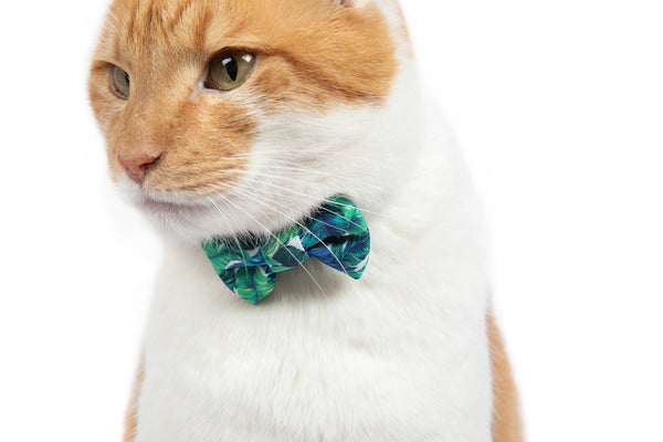 Cat Collar and Bow Tie Vacay Palms