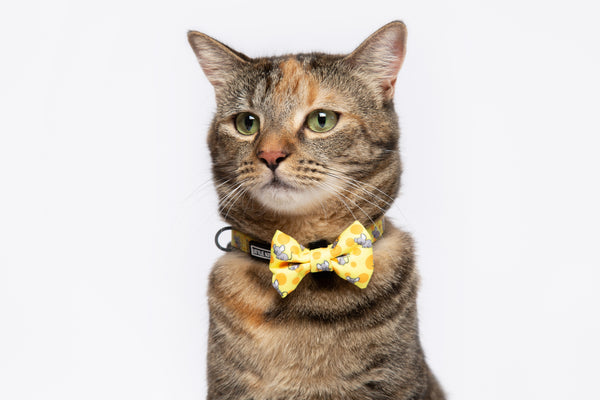 Cat Collar and Bow Tie Cheesin' Around Cat and Mice