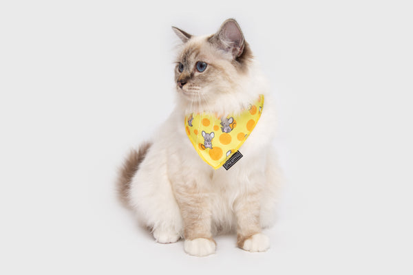 Cat Cooling Bandana Cheesin' Around Cat and Mice
