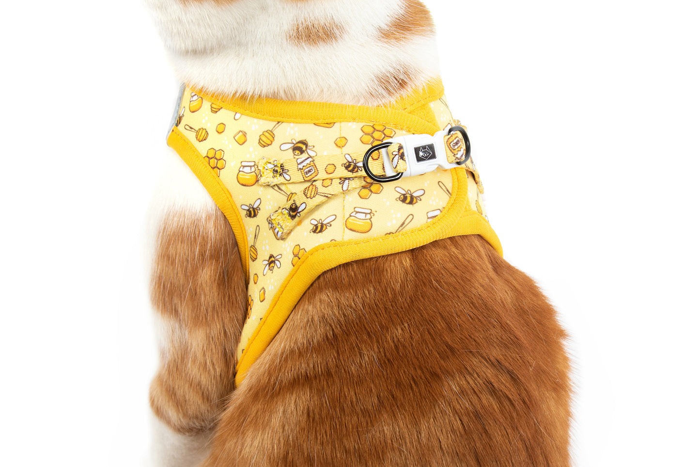 Cat Step In Harness Bee-Hiving