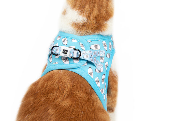 Cat Step In Harness Milk