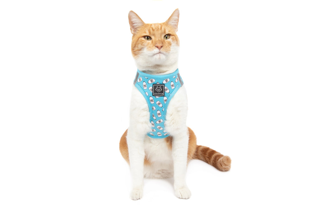 Sushi hotsell cat harness