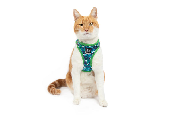 Cat Step In Harness Vacay Palms