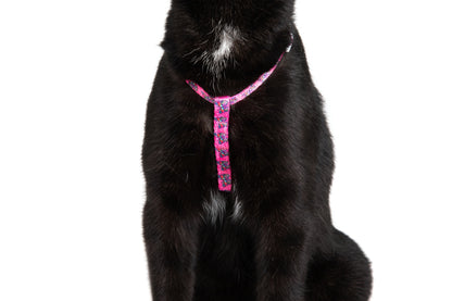 Cat Strap Harness Flutterly Fab