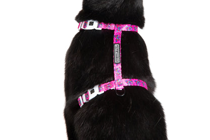 Cat Strap Harness Flutterly Fab