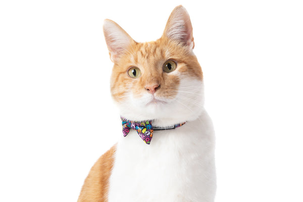 Cat Collar and Bow Tie Graffiti