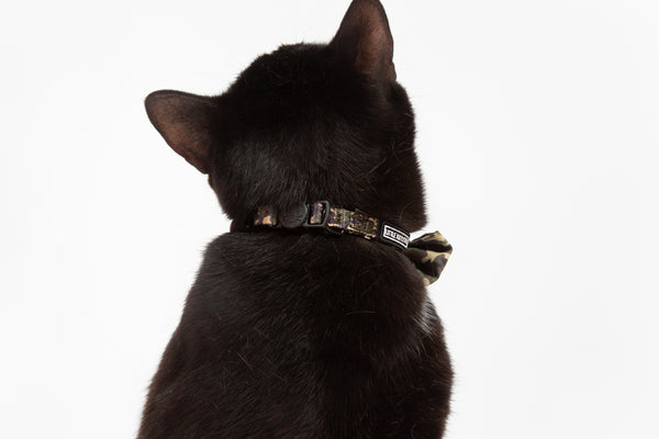 CAT COLLAR & BOW TIE: Cool Cat Camo