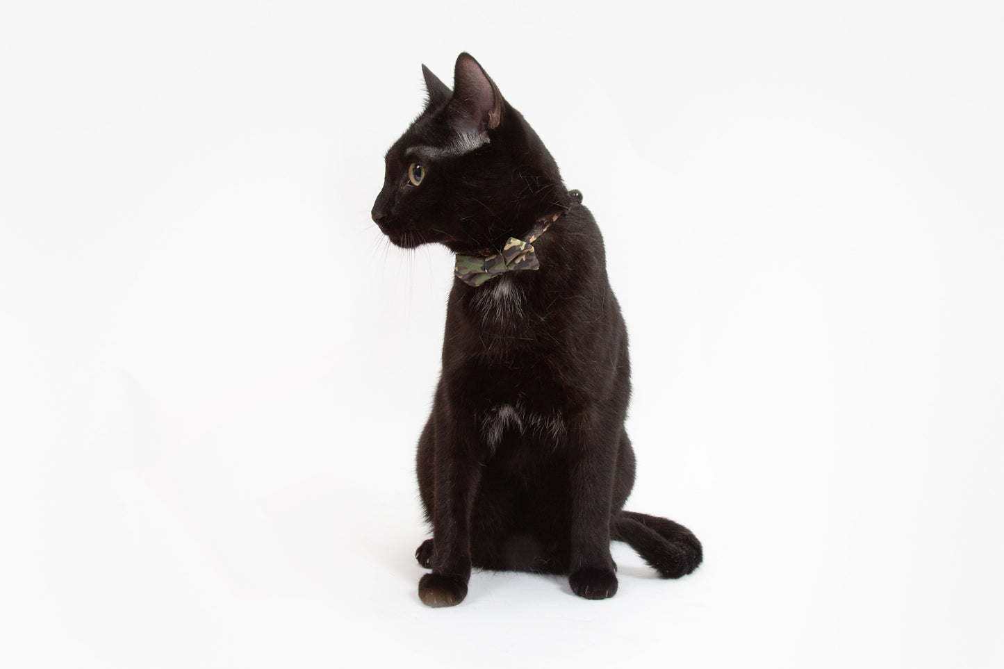 Little Kitty Co. Cat Collar & Bow Tie Catouflage Camoflage