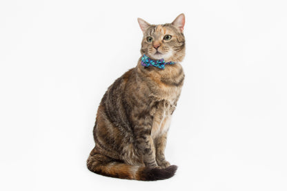 Little Kitty Co. Cat Collar & Bow Tie Scaled Back