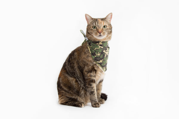 Little Kitty Co. Cooling Bandana Catouflage Camoflage