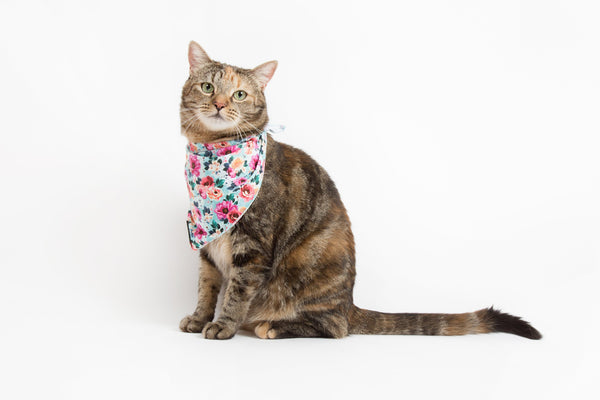 Little Kitty Co. Cooling Bandana That Floral Feeling