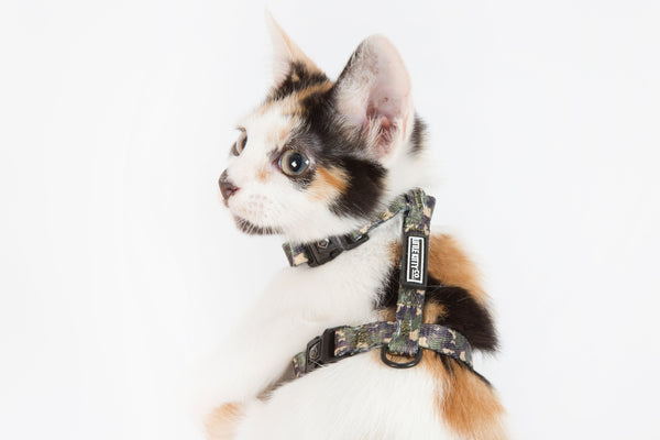 Little Kitty Co. Cat Strap Harness Catouflage Camouflage