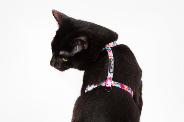 Little Kitty Co. Cat Strap Harness That Floral Feeling