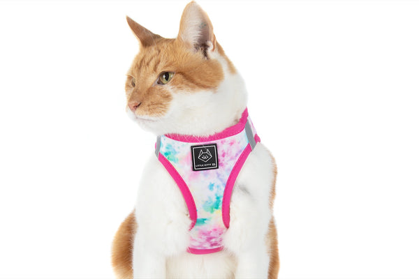 CAT STEP IN HARNESS: Cotton Candy