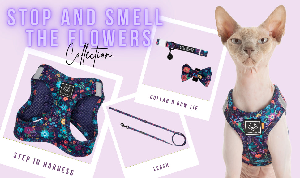Little Kitty Co. | Stop and Smell the Flowers